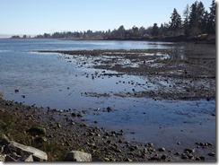 Royston by the Sea on the Comox Bay