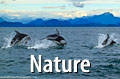 Comox Valley Nature Photography