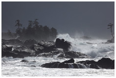 Wild Pacific Trail - Ucluelet Vancouver Island