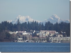 Comox Harbour, Coastal Mountains view from Royston Waterfront Trail