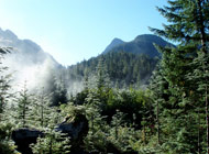 Elk River Pass Strathcona Provincial Park