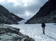 Elk River Pass Strathcona Provincial Park