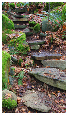 Steps to oceanside pond