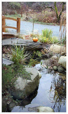 Entrance Ponds at Royston House Bed and Breakfast Vancouver Island