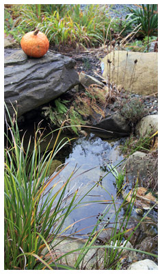 Royston House B&B Entrance Pond