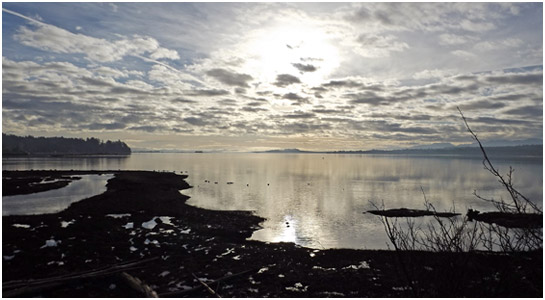 K'omoks Estuary View Courtenay Airpark.jpg